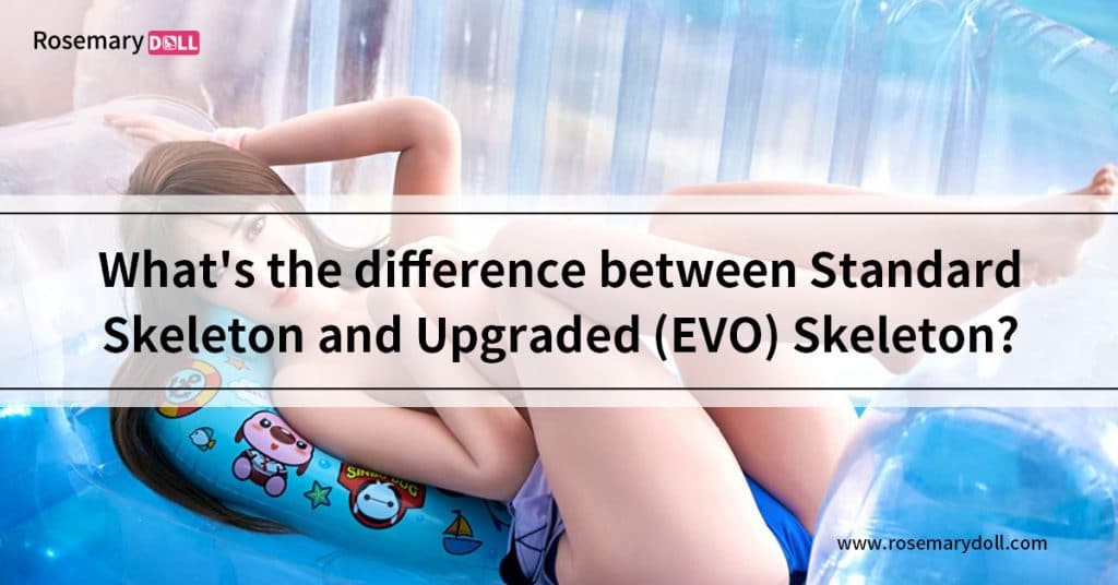 Was ist der Unterschied zwischen Standard Skeleton und Upgraded (EVO) Skeleton