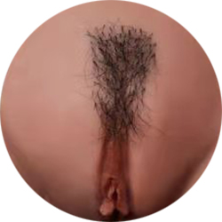 Pubic Hair No.1