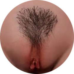 Pubic Hair No.2