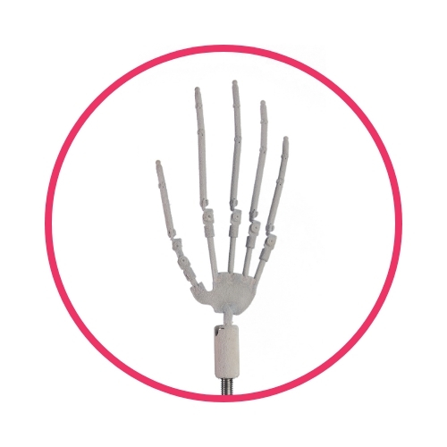 Articulated Fingers