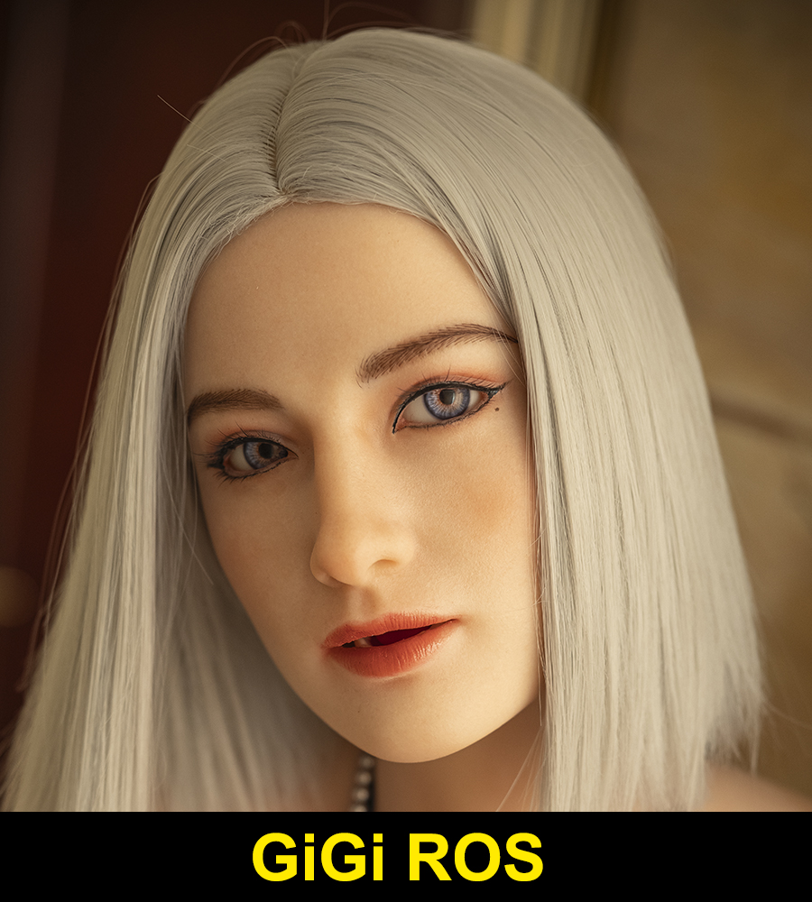 GiGi ROS