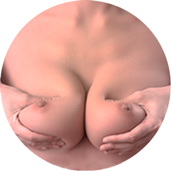 Ultra Soft Breasts (FREE)