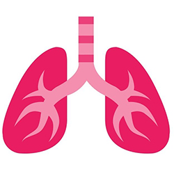 Breathing System (FREE)