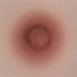 Nº 5