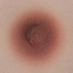 Nº 6