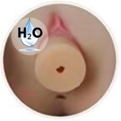 Replaceable Vagina Insert – H2O