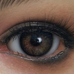 Marron (yeux cristallins)