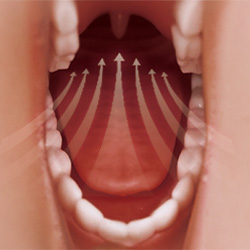 Oral Saugen