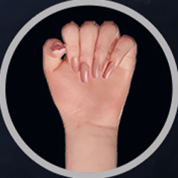 Articulated Fingers (FREE)