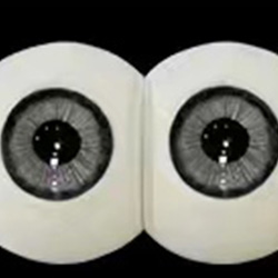 Premium Eyes No.5