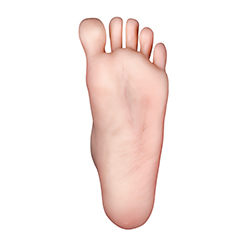 Standing No Bolts/Hard Feet (FREE)
