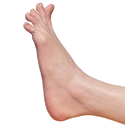 Toe Joint