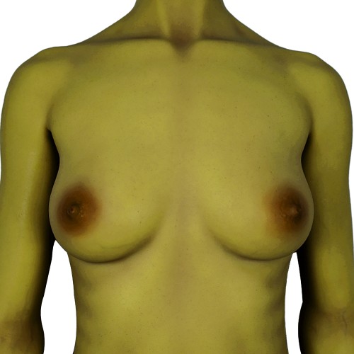 Olive Skin