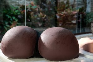 Climax 32.5cm/1ft1 Weiblicher Torso TPE Sexspielzeug bei rosemarydoll