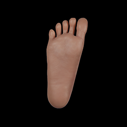 Se tenir debout sans boulons/pieds durs (GRATUIT)