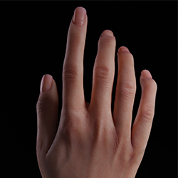 Real Skin Texture (FREE)