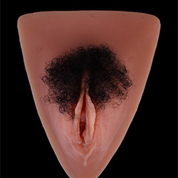 Pubic Hair #1