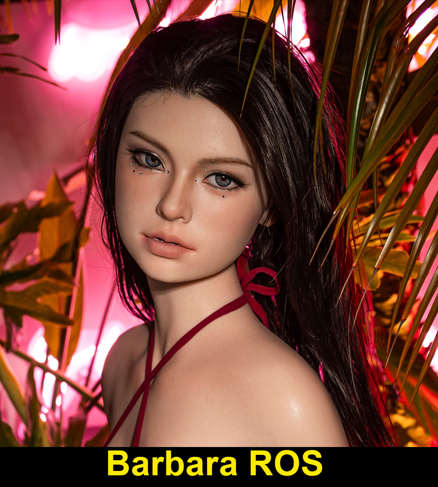 Barbara ROS
