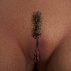 Poils pubiens #1