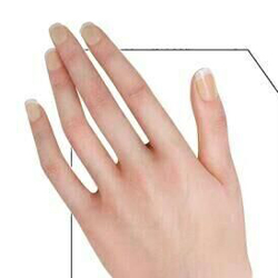 No.1