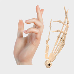 Doigts articulés (GRATUIT)