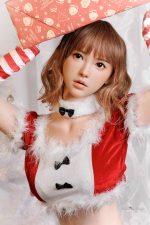 FU 161cm5ft3 D-cup Silicone Sex Doll - Sally at rosemarydoll