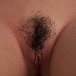 Poils pubiens #2