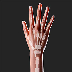 Gelenkte Finger (FREE)