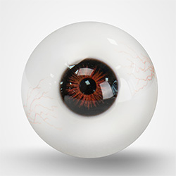 Yeux bruns avec veines