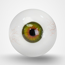 Yeux verts avec veines