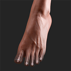 Toe Bones (FREE)
