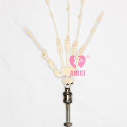 Articulated Fingers (FREE)