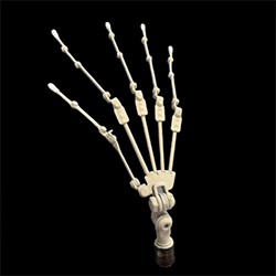 GraceJoint