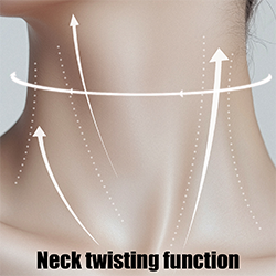 Neck Twisting