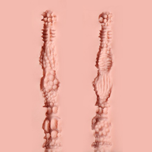No.1