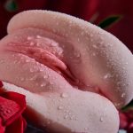 MissterVerse Filia 5.29 LB Male Masturbator Anime Fantasy Toy with Restraint Design at rosemarydoll