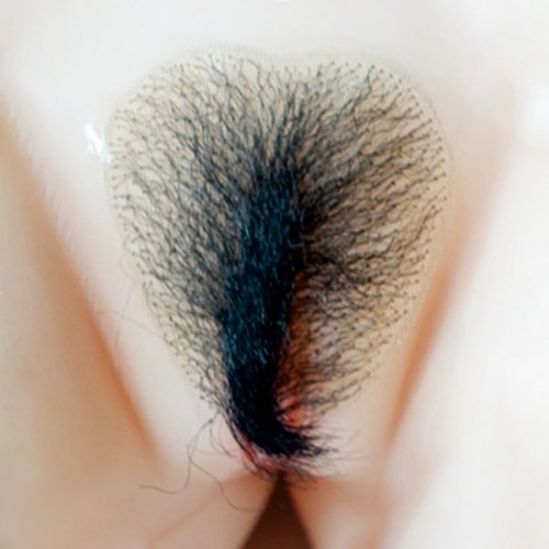 Pubic Hair No.1