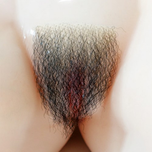 Pubic Hair No.2