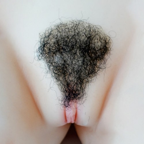 Pubic Hair No.4