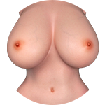 Echte Haut (Standard)