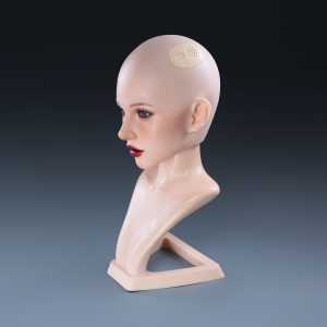 Sigafun AI Head atrosemarydoll